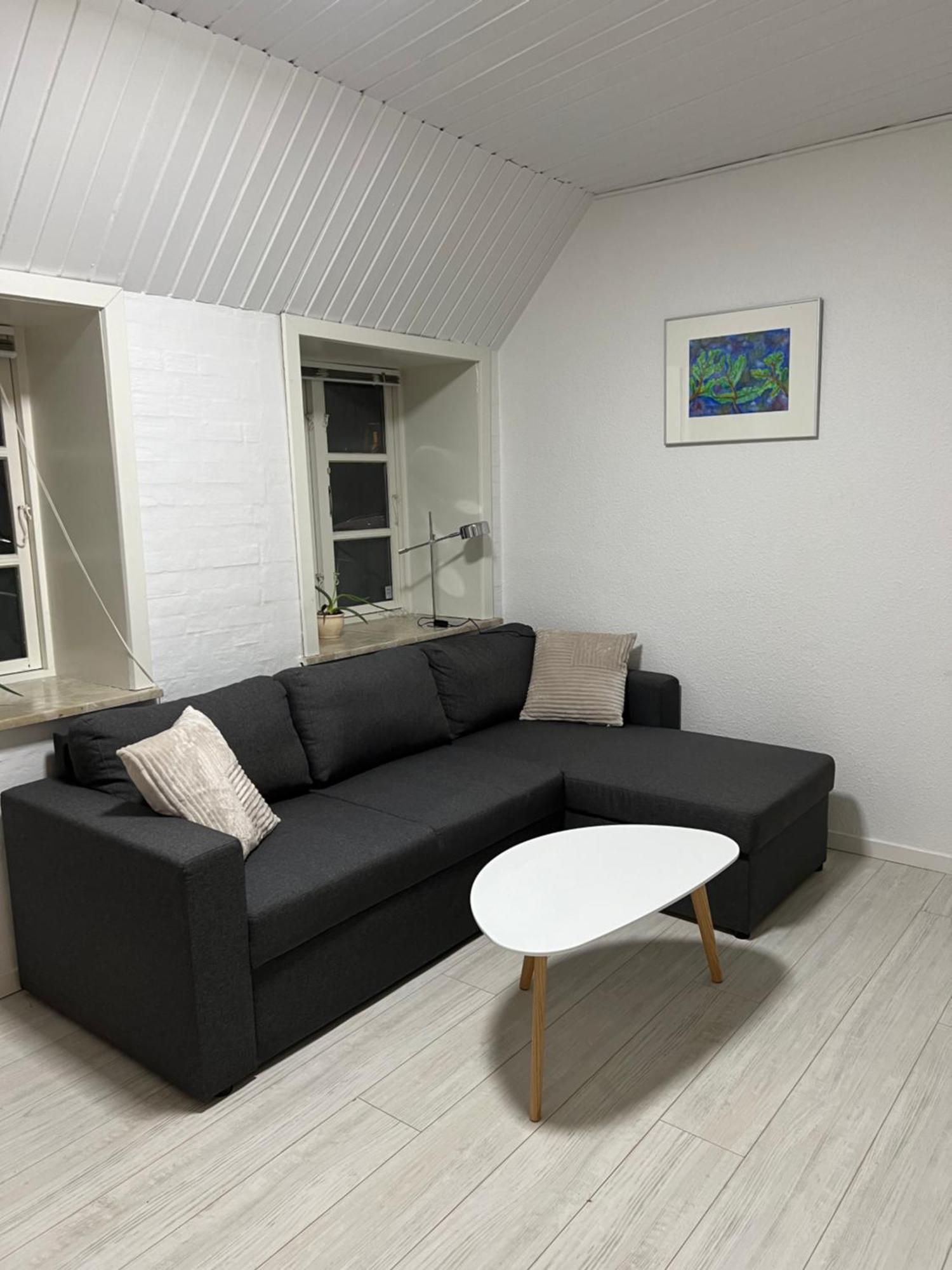 Apartment With Wifi, Close To City Center, Beach And Forrest Aabenraa Εξωτερικό φωτογραφία