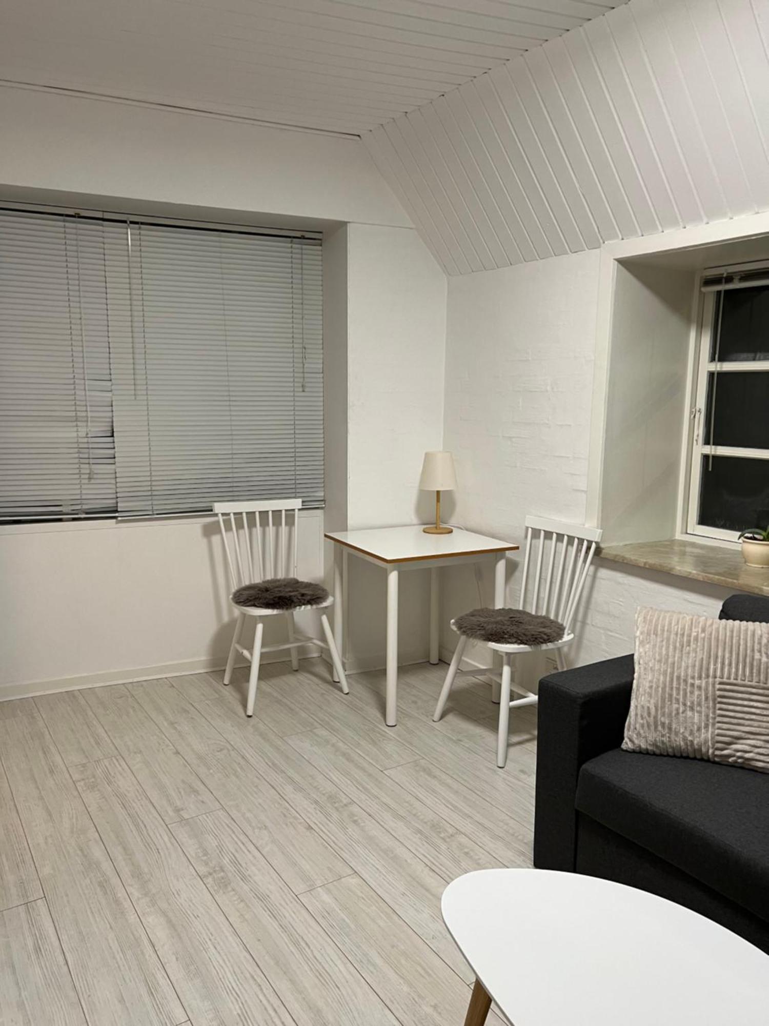 Apartment With Wifi, Close To City Center, Beach And Forrest Aabenraa Εξωτερικό φωτογραφία